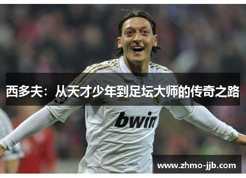 西多夫：从天才少年到足坛大师的传奇之路