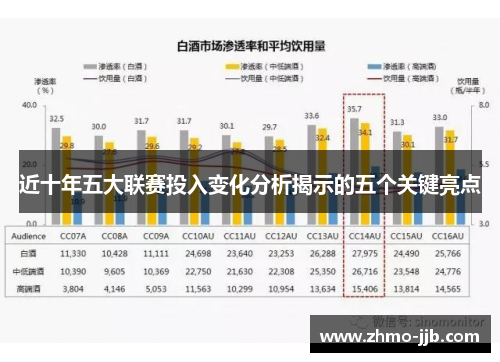 近十年五大联赛投入变化分析揭示的五个关键亮点