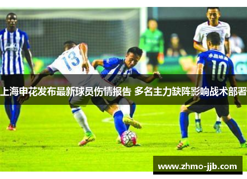 上海申花发布最新球员伤情报告 多名主力缺阵影响战术部署